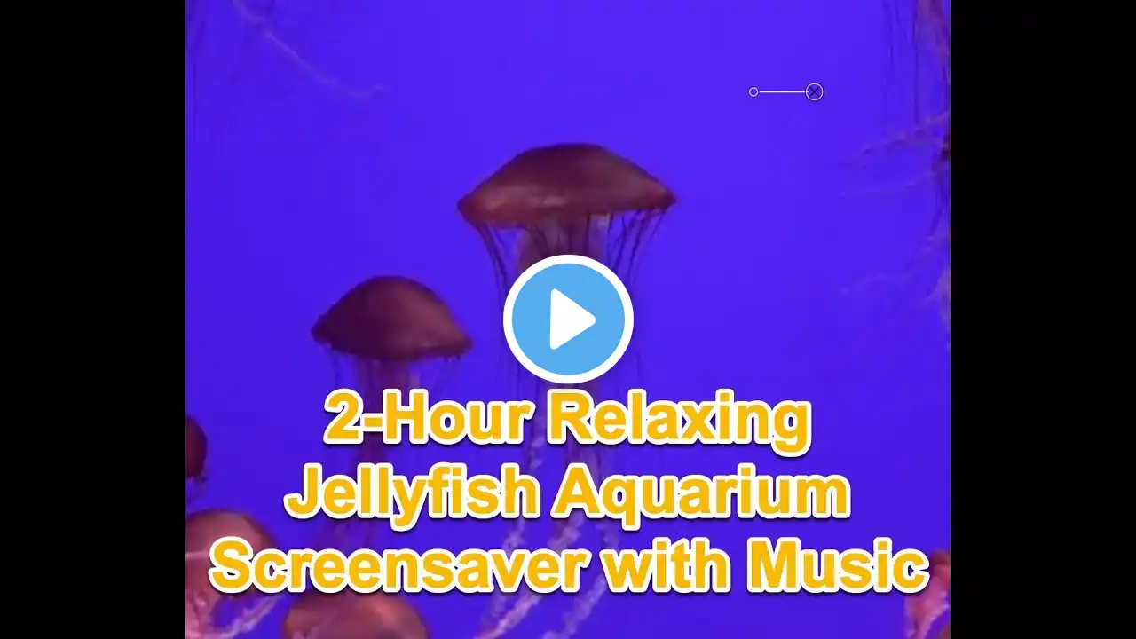 Relaxing Jellyfish Aquarium Screensaver with Sleep, Relaxation, and Meditation Music"