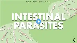 INTESTINAL PARASITES | Parasite Awareness Week