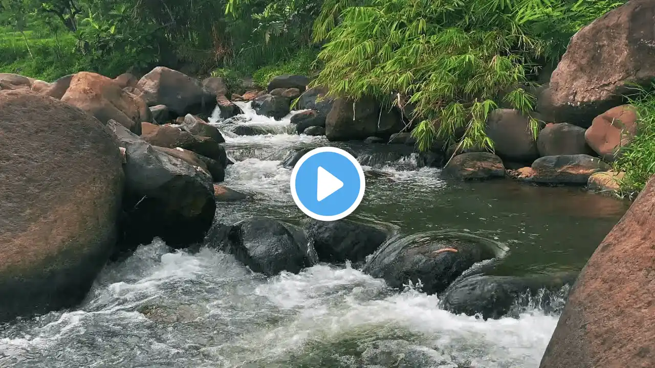 Peaceful Mountain Stream & Waterfall Sounds β Relaxing River for Sleep & Meditation.