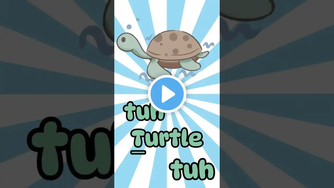 T is for Turtle ! Learn The Letter T And Phonics For Toddlers & Babies #forkids #toddlereducation