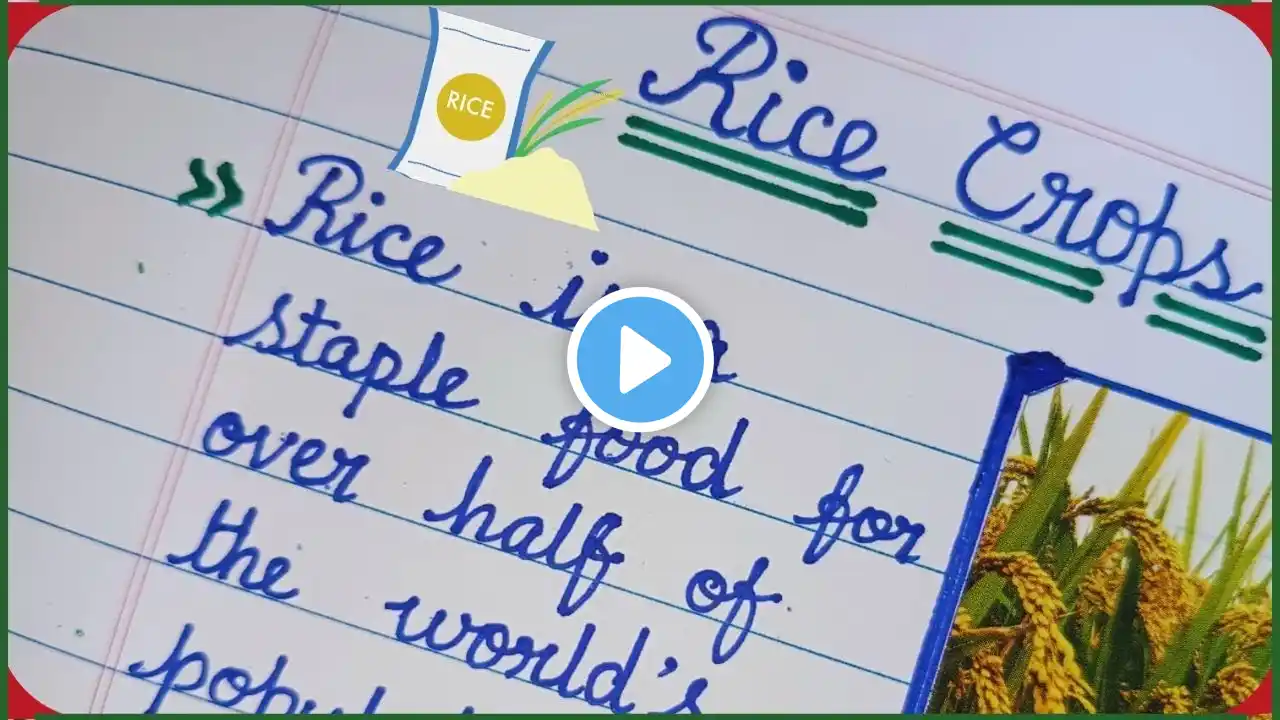 10 Lines Essay on Rice Crops | Few Lines About Rice Crops | Rice Crops Essay Writing | Rice Crops🌿✨