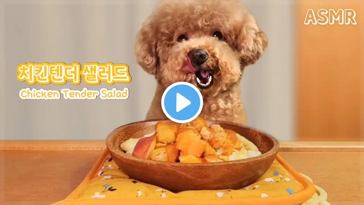 Chicken Tender Salad eating show l asmr ㅣ Dog