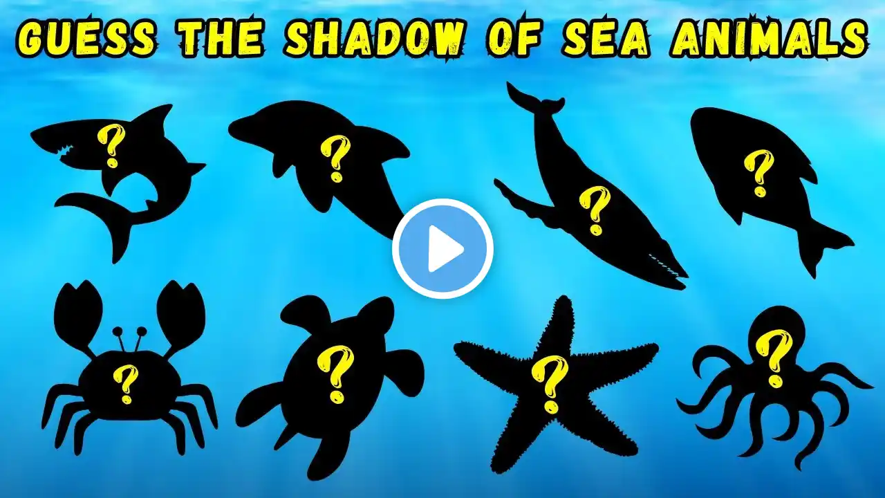 Guess the Shadow of Sea Animals (Most Kids Get It WRONG!) 😆🦀 Educational Song For Kids