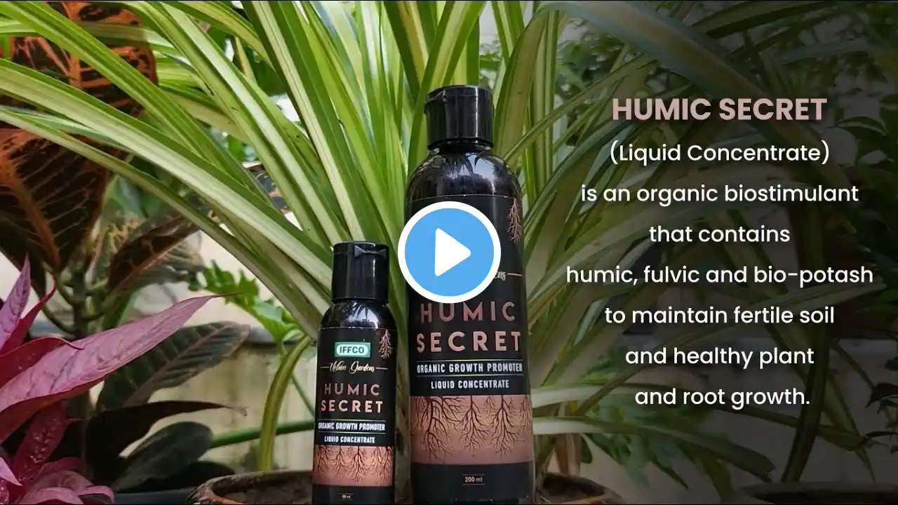 Introducing Humic Secret (Liquid Concentrate) for Fertile Soil and Better Plant and Root Growth