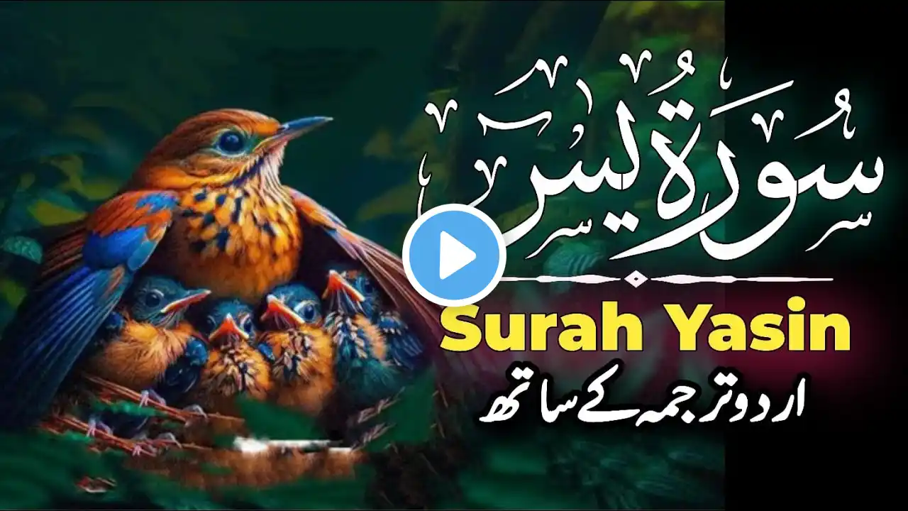 Surah Yaseen | Surah Yaseen Full With Urdu Translation (HD) | 36سورۃ یس | Episode - 123