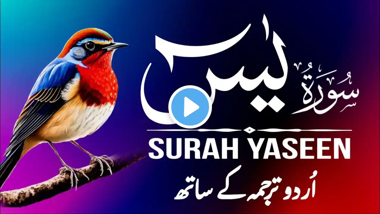 Surah Yaseen | Surah Yaseen With Urdu Translation | Episode - 410