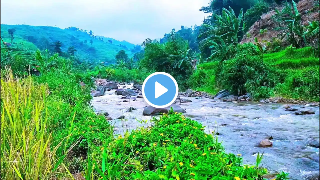 🌿✨ Quiet River Stream – Calming Sounds for Meditation & Sleep 🌿💦