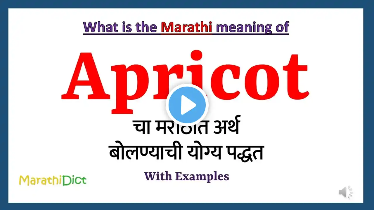 Apricot Meaning in Marathi | Apricot म्हणजे काय | Apricot in Marathi Dictionary |