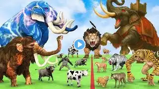 Paint & Animals Duck, Cow, Gorilla, Lion, chicken, Elephant, Fountain Crossing Turtle Cartoon