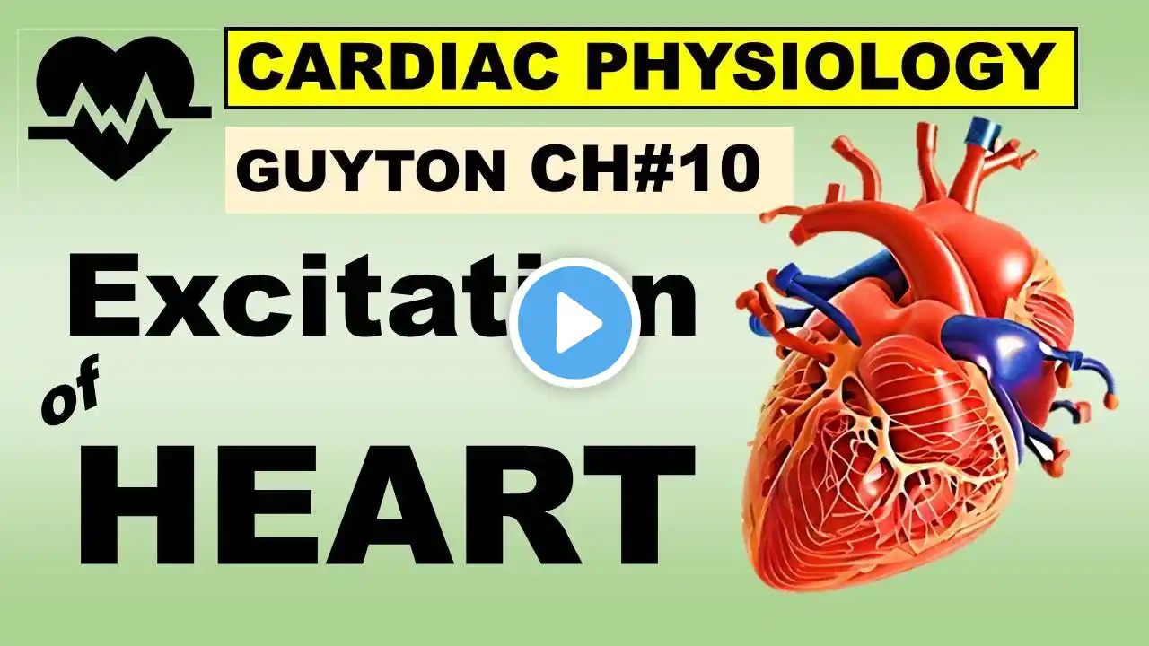 Ch#10 Physiology Guyton | Excitation of HEART | Sinus Node | Pace Maker | Cardiac Physiology