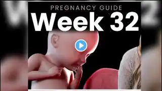 pregnancy month 8 | pregnancy week by week | pregnancy symptom #baby #pregnancy #pregnancycare