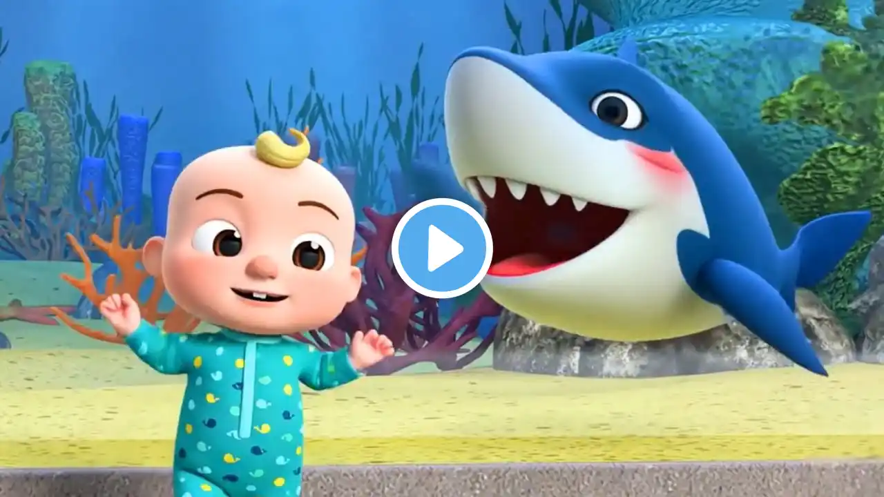 Baby Shark Dance - Cute Dance for Kids and Toddlers | Songs for Children |