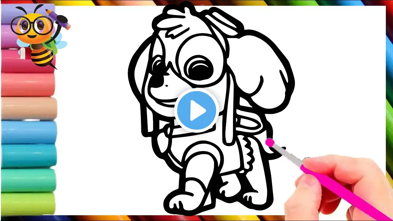 Drawing And Coloring Skye From Paw Patrol || Draw and Color Skye From Paw Patrol