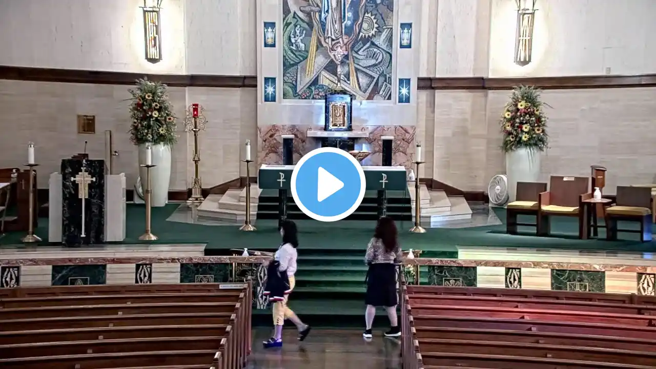 Notre Dame de la Mer Livestream Mass