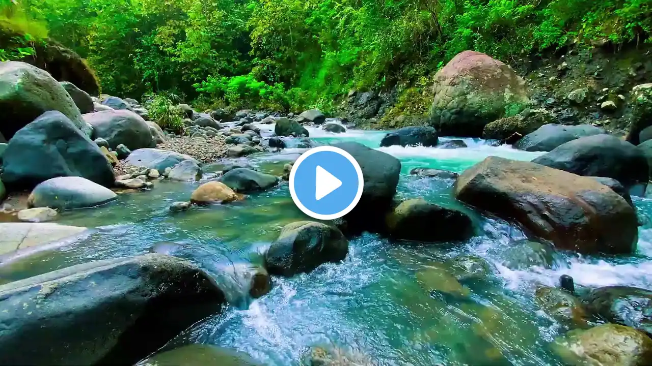 Gentle River Stream creating serene atmosphere perfect for Sleeping sleep, relax, enjoy life, ASMR