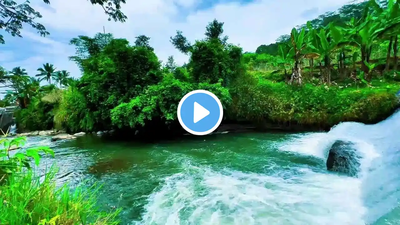 Soothing River Flow for Sleep & Relaxation 💦 | Nature Sounds to Calm the Mind