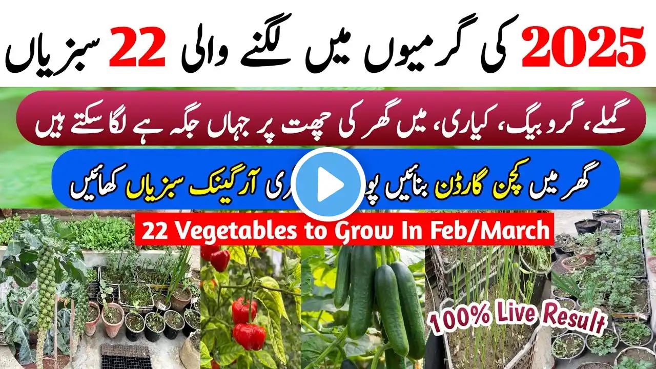 SUMMER 2025 Vegetables To Grow In February & March At Home in Kitchen Garden | Feb & March Vegetable