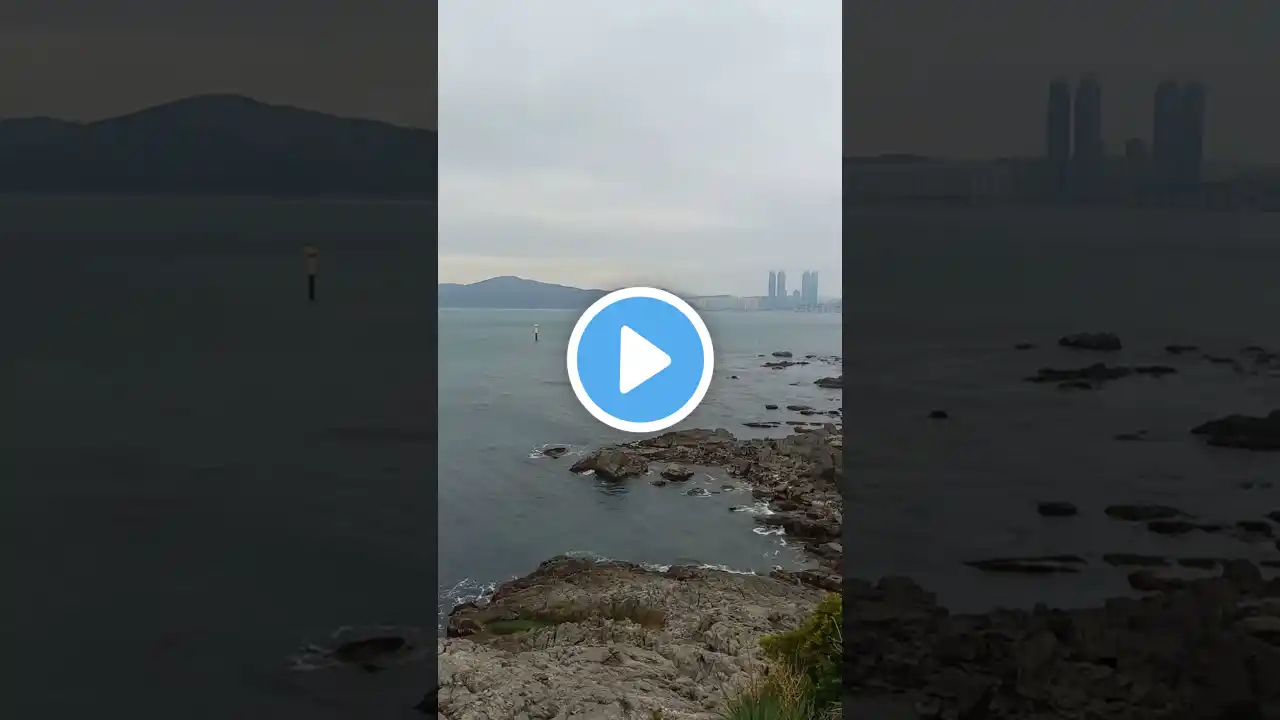 부산 동백공원 겨울바다