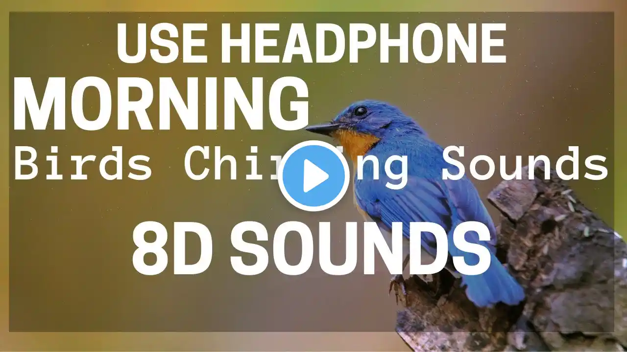 8D Morning Birds Chirping Sounds For Relaxing | Use Headphone | 1 Hours | Relaxing Nature ASMR