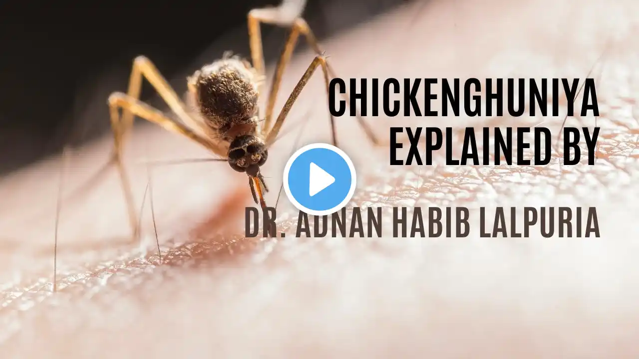 Chikungunya Explained: Symptoms, Treatment, and Prevention | Dr. Adnan Habib Lalpuria