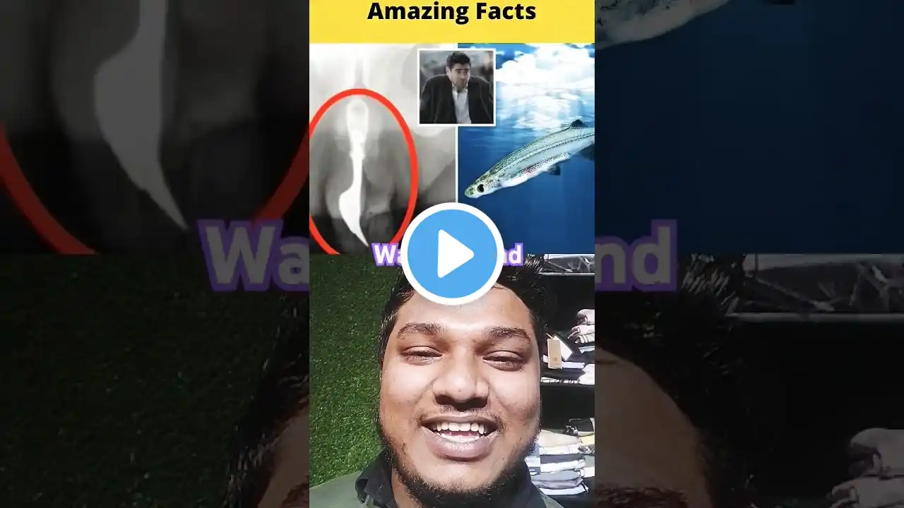 Top 3 Amazing Nature Facts 🤣🤣😮 @MRINDIANHACKER  @CrazyXYZ  || #shorts || #FactBeast #trending