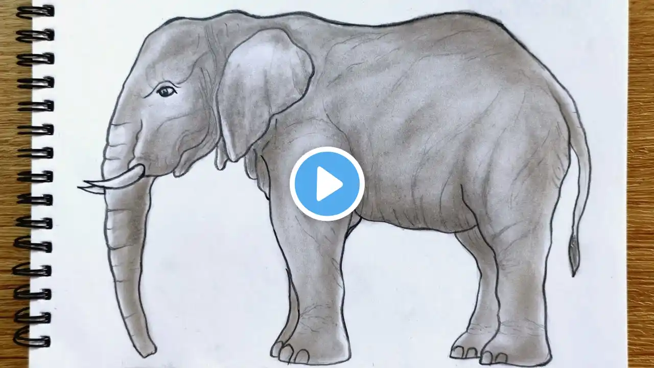 How to draw Elephant | Easy elephant drawing | Elephant pencil drawing |Elephant drawing