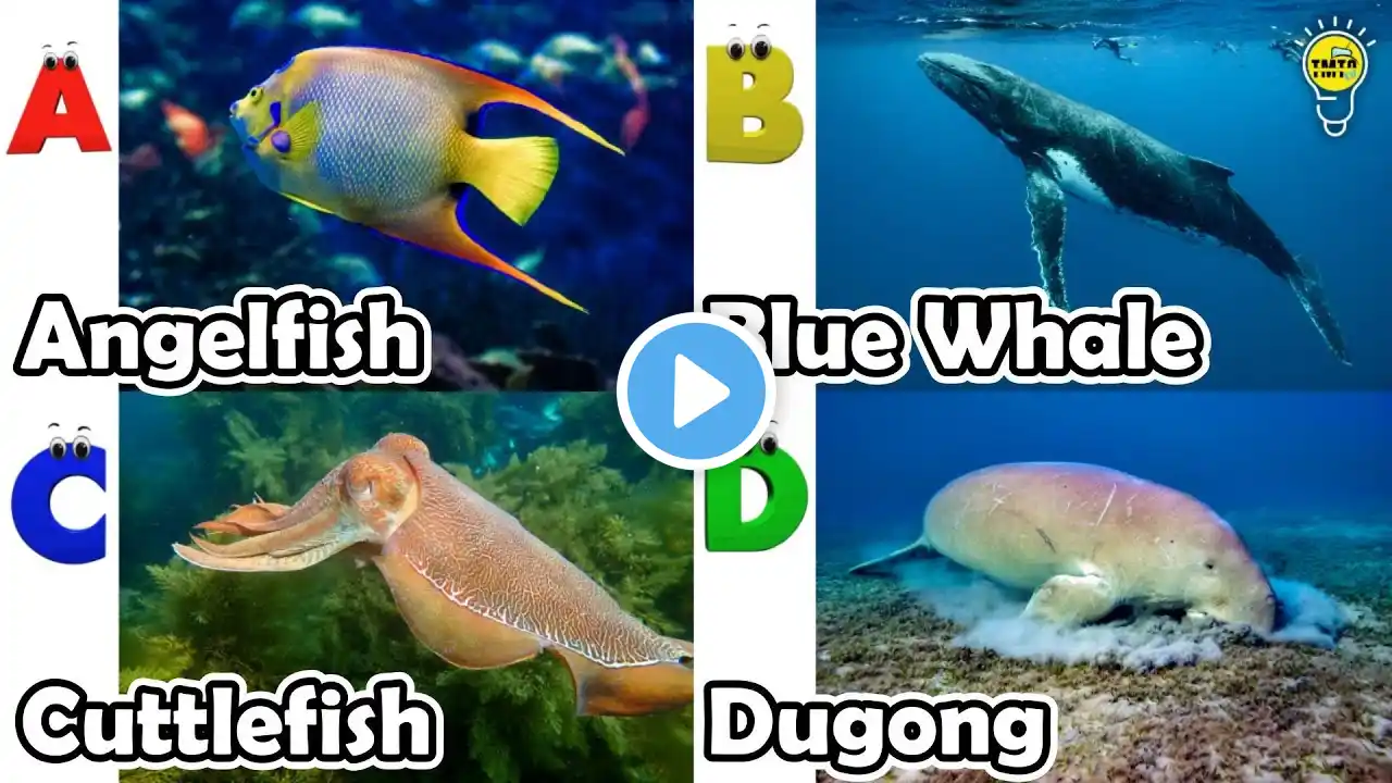 ABC phonics animals | ABC Sea Animals song | English and Animals for Kids | Alphabets Kids Song