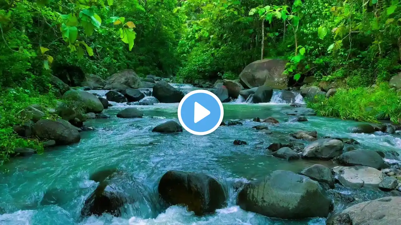 Relaxing River Sound of a Forest River, Peaceful Mind, Calm Heart, Happy Life, for Sleep