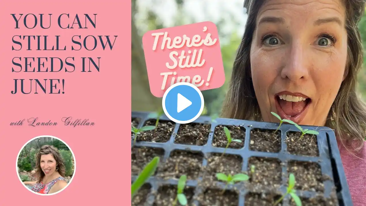 What You Can Still Plant in June (It's not too late to start your garden) | Garden 2023