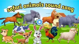 Animals sound song | safari animals sound song | farm animals sound song | animals and their sound