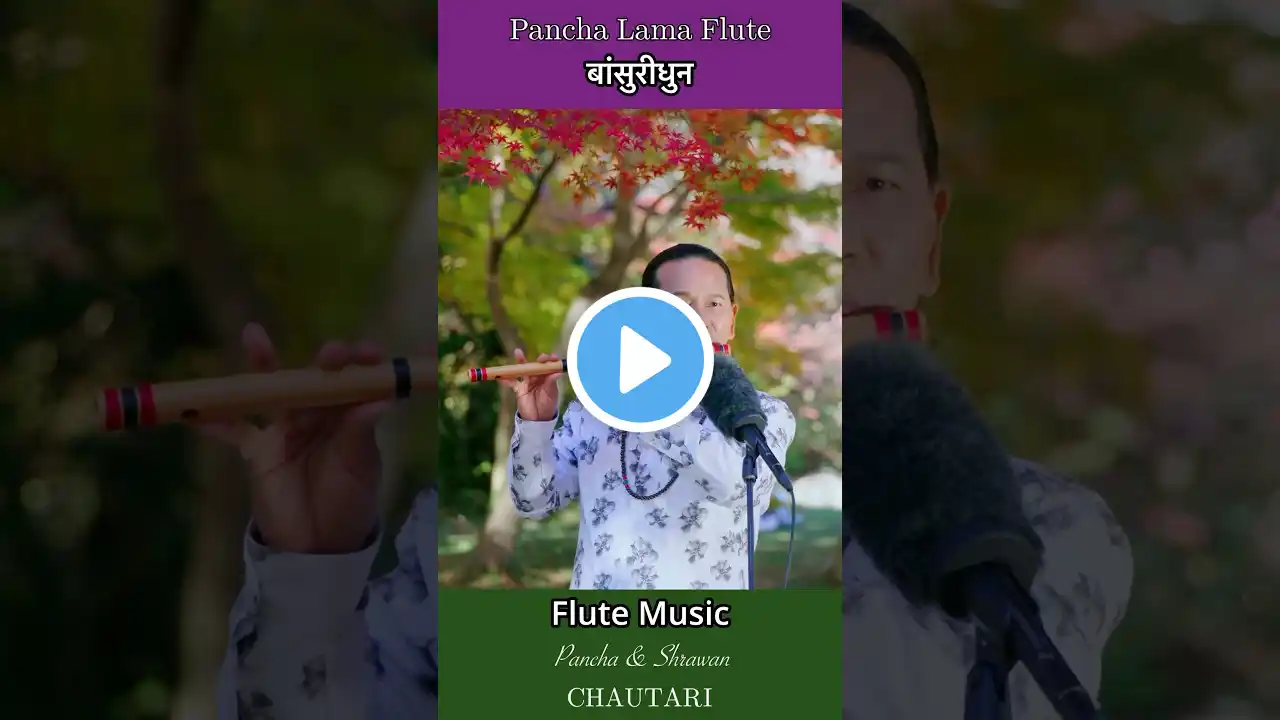 Flute Music | Morning Flute | Bansuri | Basuri Dhun | instrumental Music #flute #flutemusic #shorts