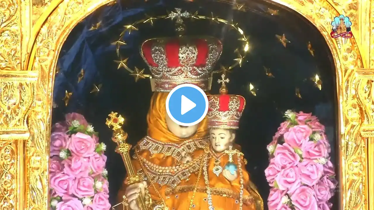 LIVE - 08-01-2023 | Vailankanni Shrine Basilica -  Sunday Mass | The Epiphany Of Our Lord | Mercy TV