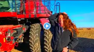 My Calf Tried To Trample Me | Laura Farm | SRF Gardening | Unites state