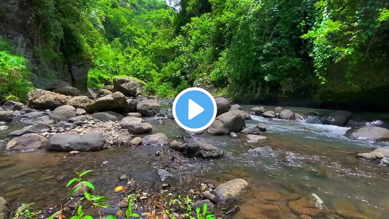 Relaxing Nature Sounds | Flowing Green River & Waterfall in a Lush Green Forest