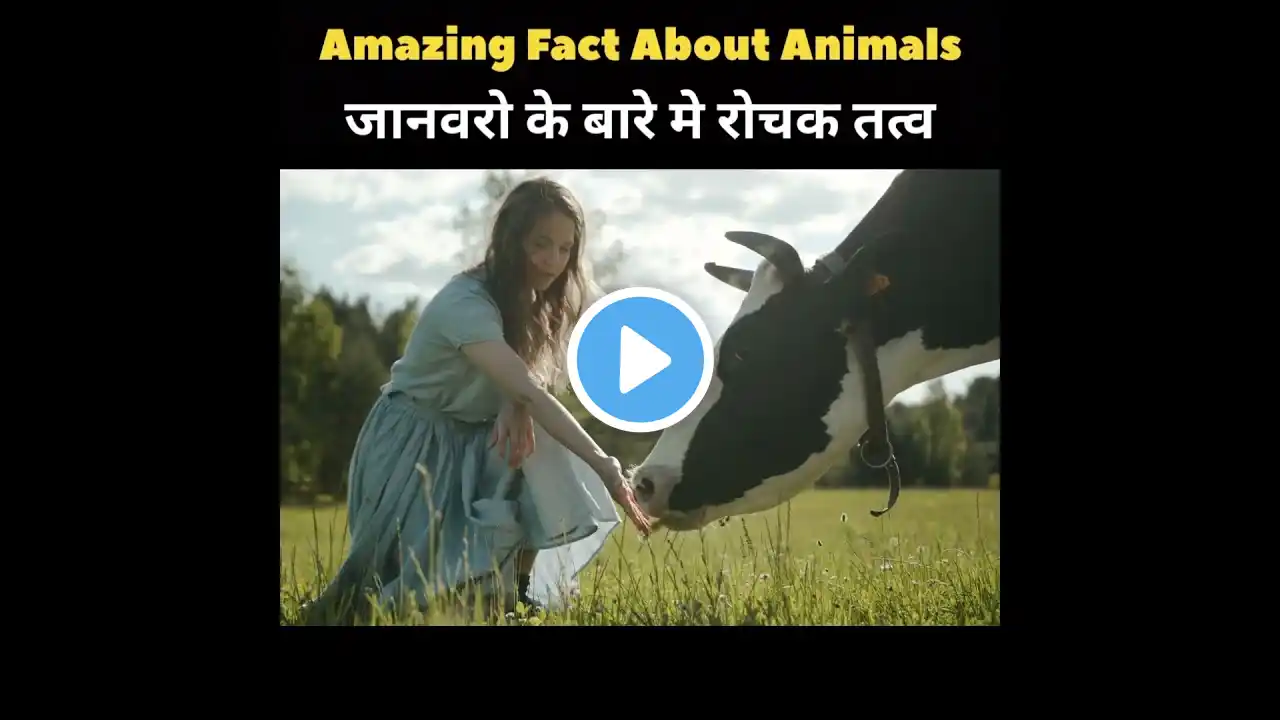 Top 10 Mind Blowing Facts About animals 🐯🐴 | Intresting fact in Hindi | #shorts #trending