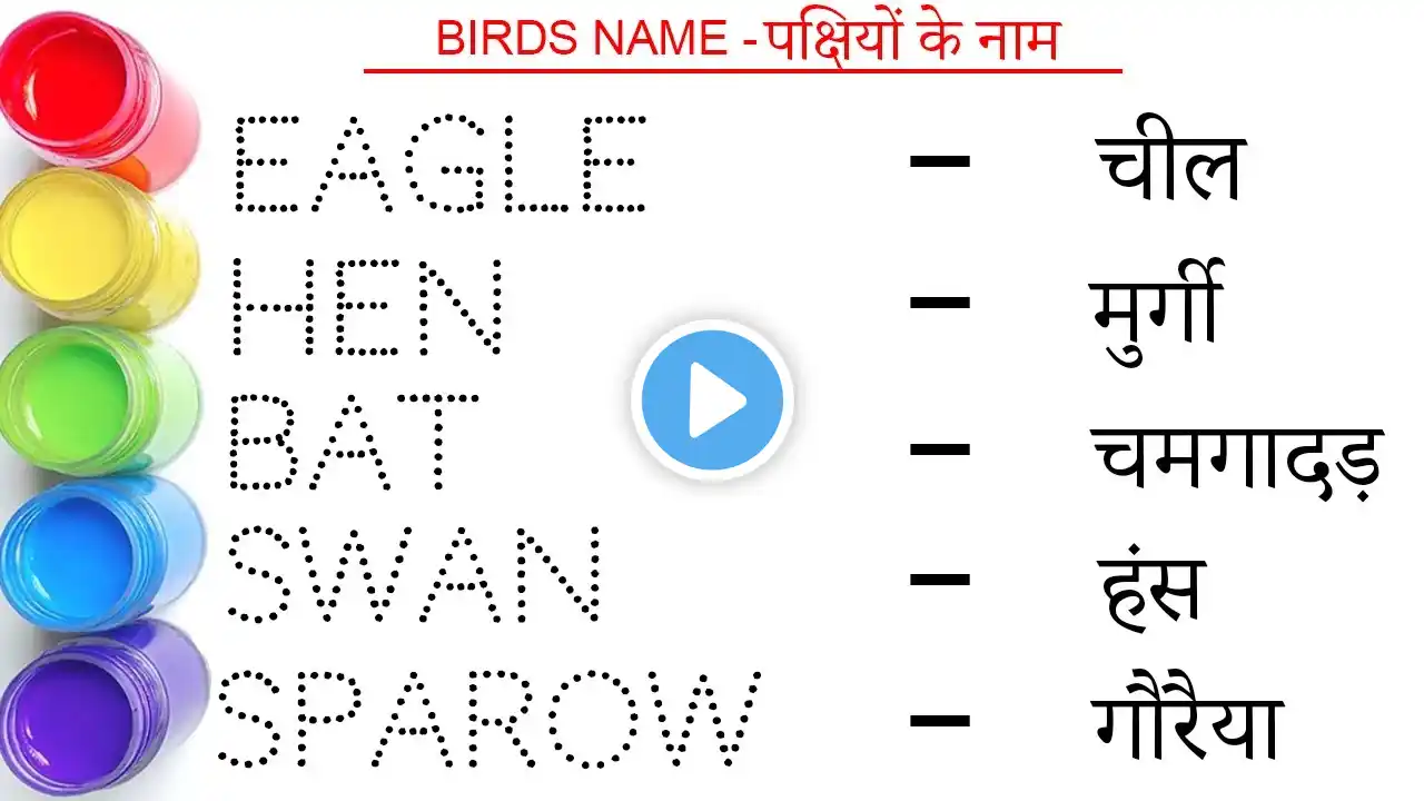 Birds name in hindi and english || पक्षियों के नाम || Birds Name || study centre