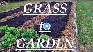 GRASS to GARDEN | A No-Dig Transformation Story   (Inspired by Charles Dowding and Paul Gautschi)