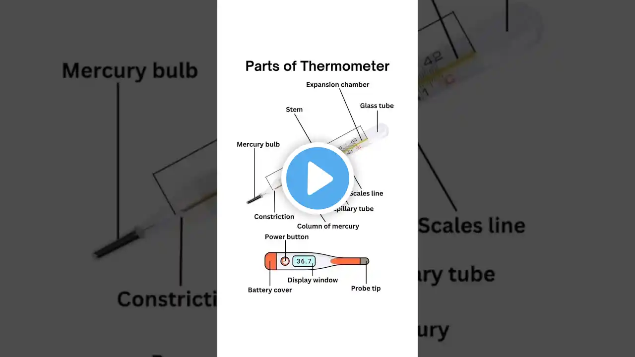 The Hidden Science Behind Thermometers