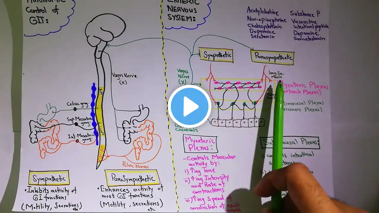 Autonomic control of GIT. Chapter 63 part 3. Guyton and Hall Physiology.