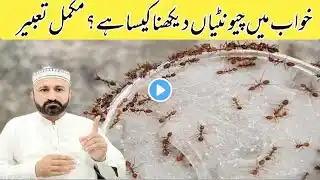 Khwab mein Chuntiyan dekhna || To see an ant in a dream || خواب میں چیونٹیاں دیکھنے کی تعبیر