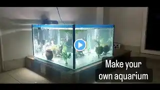 5 Minutes and a Simple Aquarium - Build Your Own Aquarium - Aquarium Setup