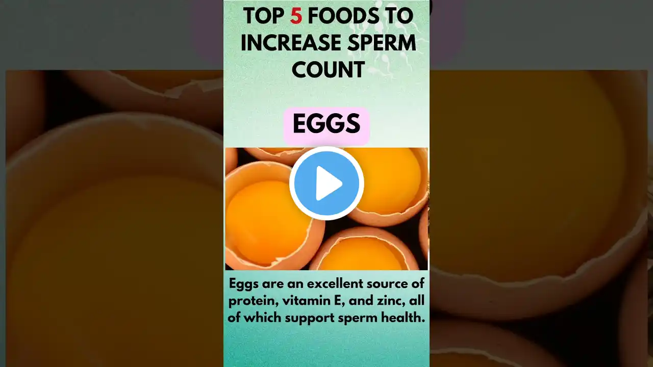 Top 5 foods to increase sperm count #sperm #spermcount #nutrition #fertility #fertilityfoods