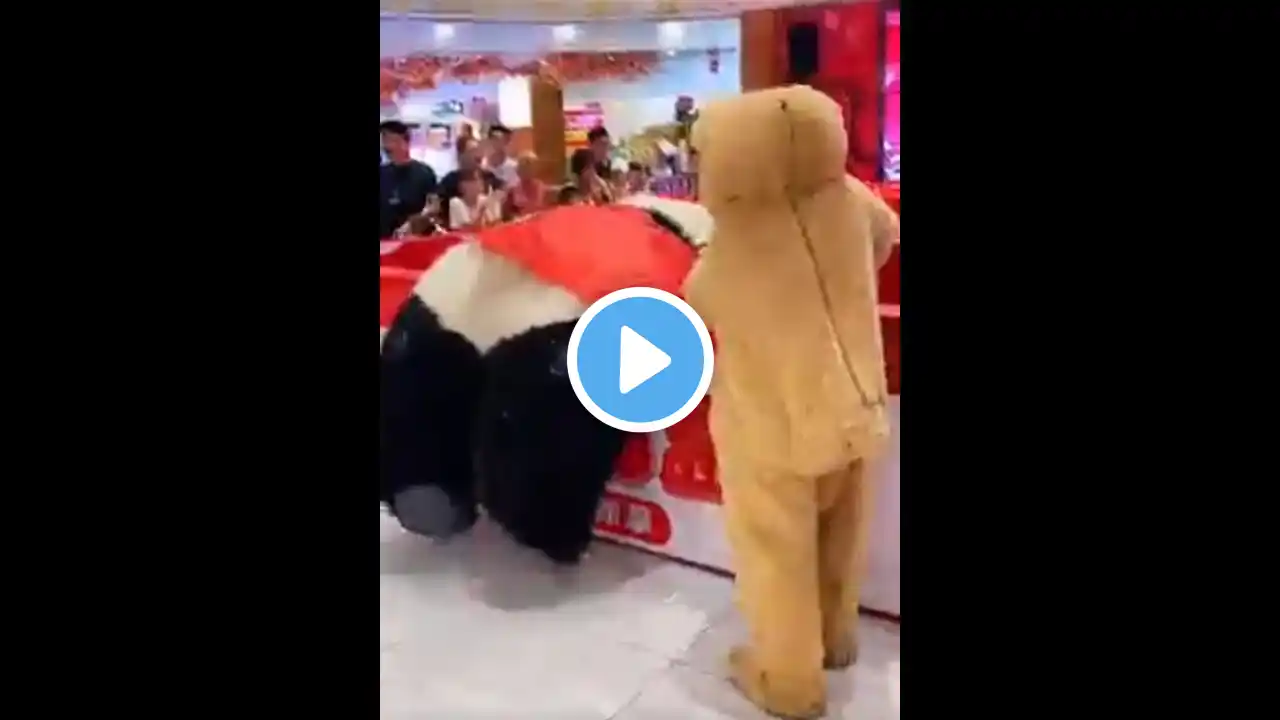 cute panda funny video status ๐ #shorts #panda #cute #funny #video #tiktok #TikTokChina