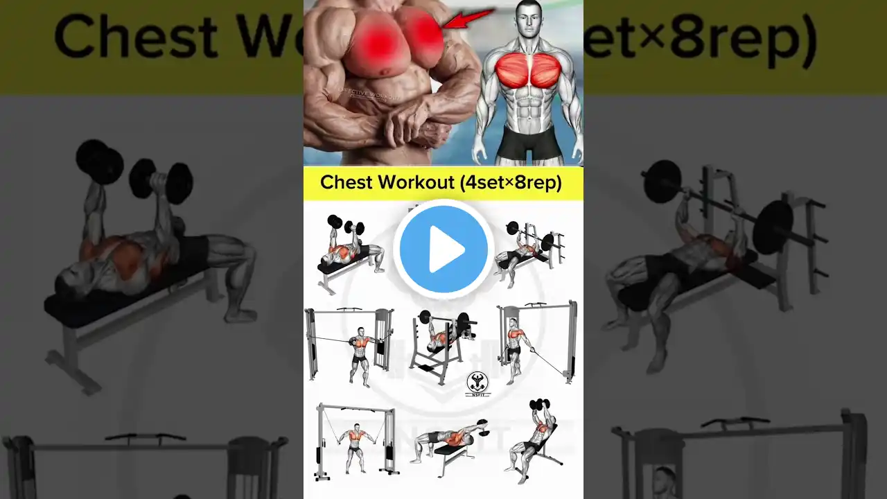 chest exercises | best chest workout at home | chest workout at gym | chest workout with dumbbells