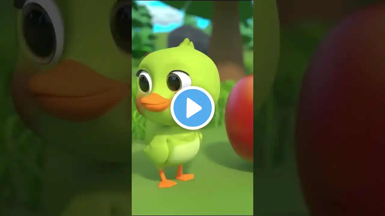 Quack Quack Little Ducks! π₯ Fun Nursery Rhymes for Kids | DilSeToons #kidssongs #nurseryrhymes