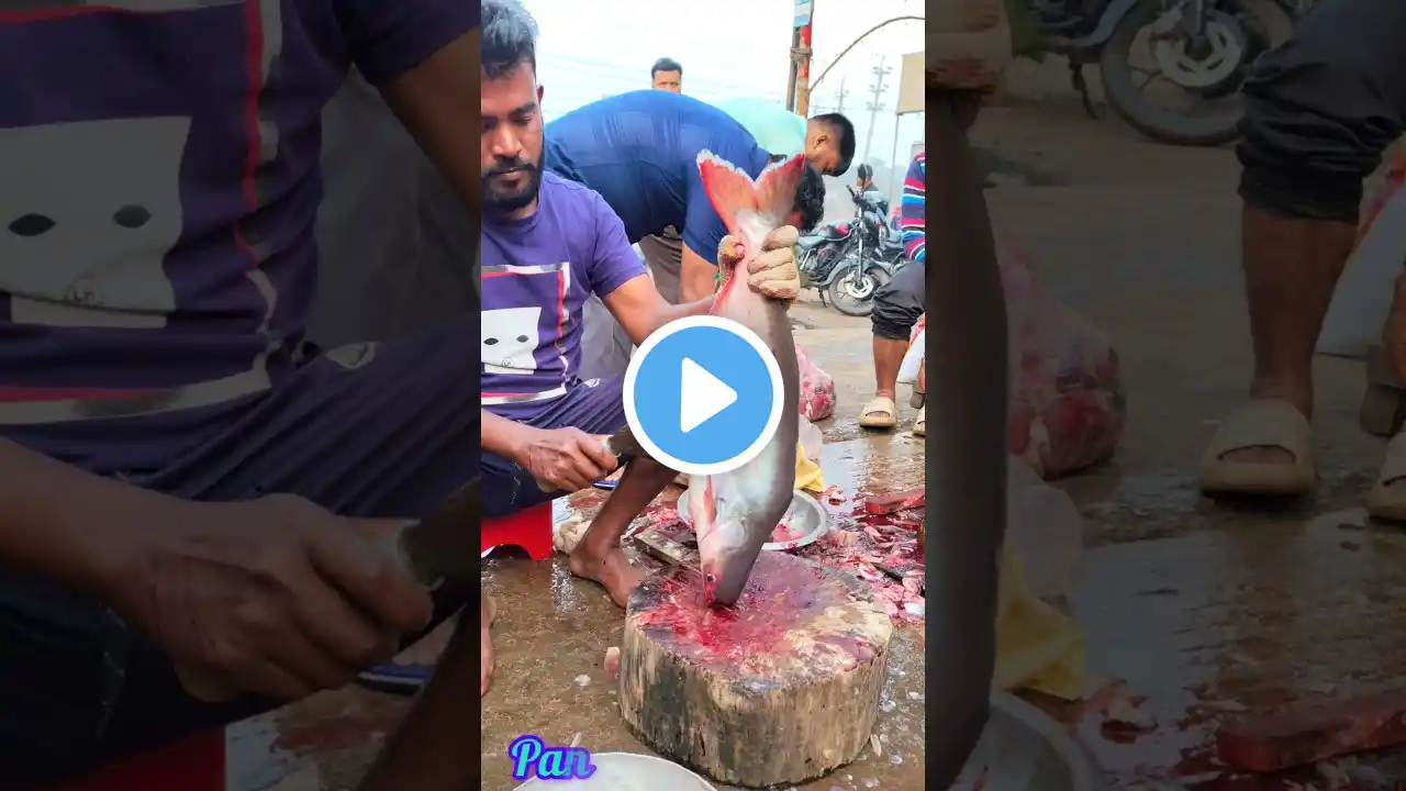 "ASMR Fish Cutting - The Most Relaxing Video Ever!" #asmr #streetfood #satisfying