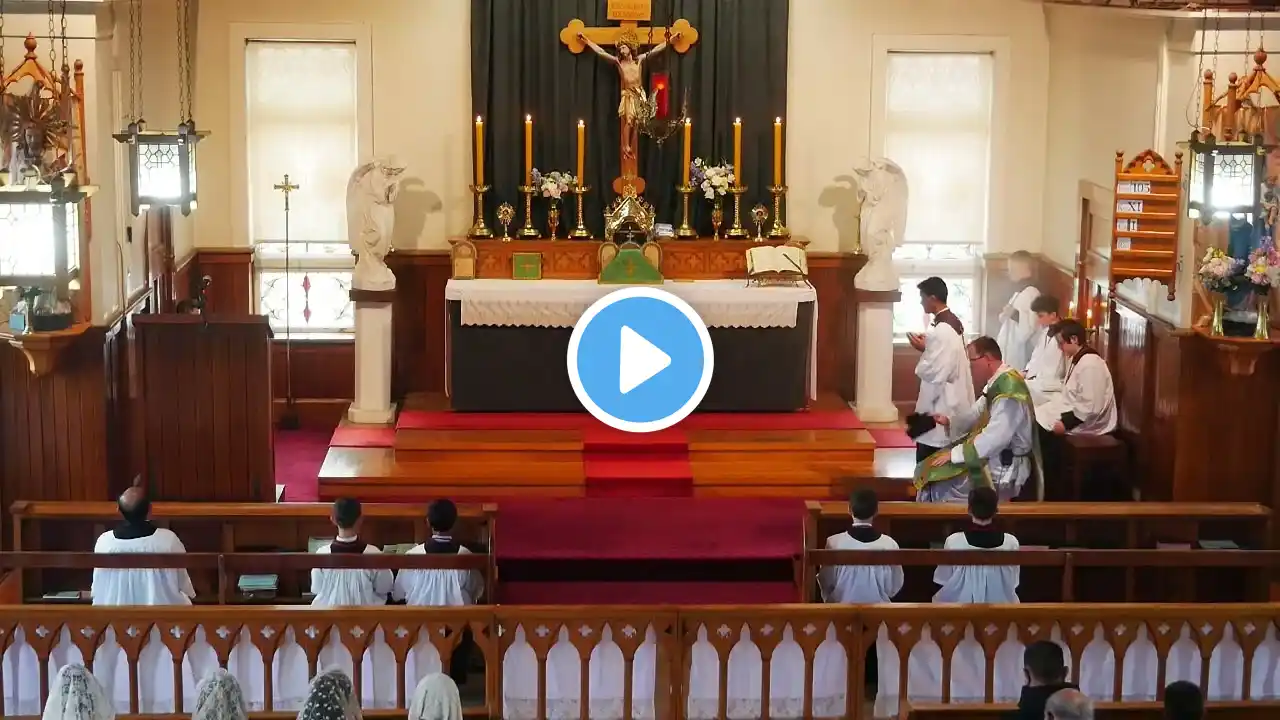 SSPXNZLIVE - Twenty Second Sunday after Pentecost - Sung Mass - 6 November 2022