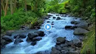 Work & Study Without Stress: Flowing Waterfall Sounds for Productivity & Calm