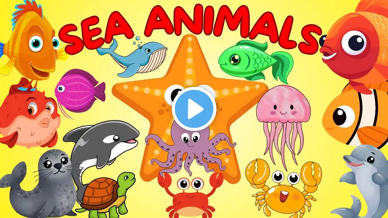 Meet the Coolest Ocean Creatures | Deep Sea Magic | Toddlers Educational Video