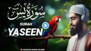 Surah Al Mulk سورة الملك | Cure Your Depression & Anxiety | Surah Mulk Lofi Quran #shortvideo